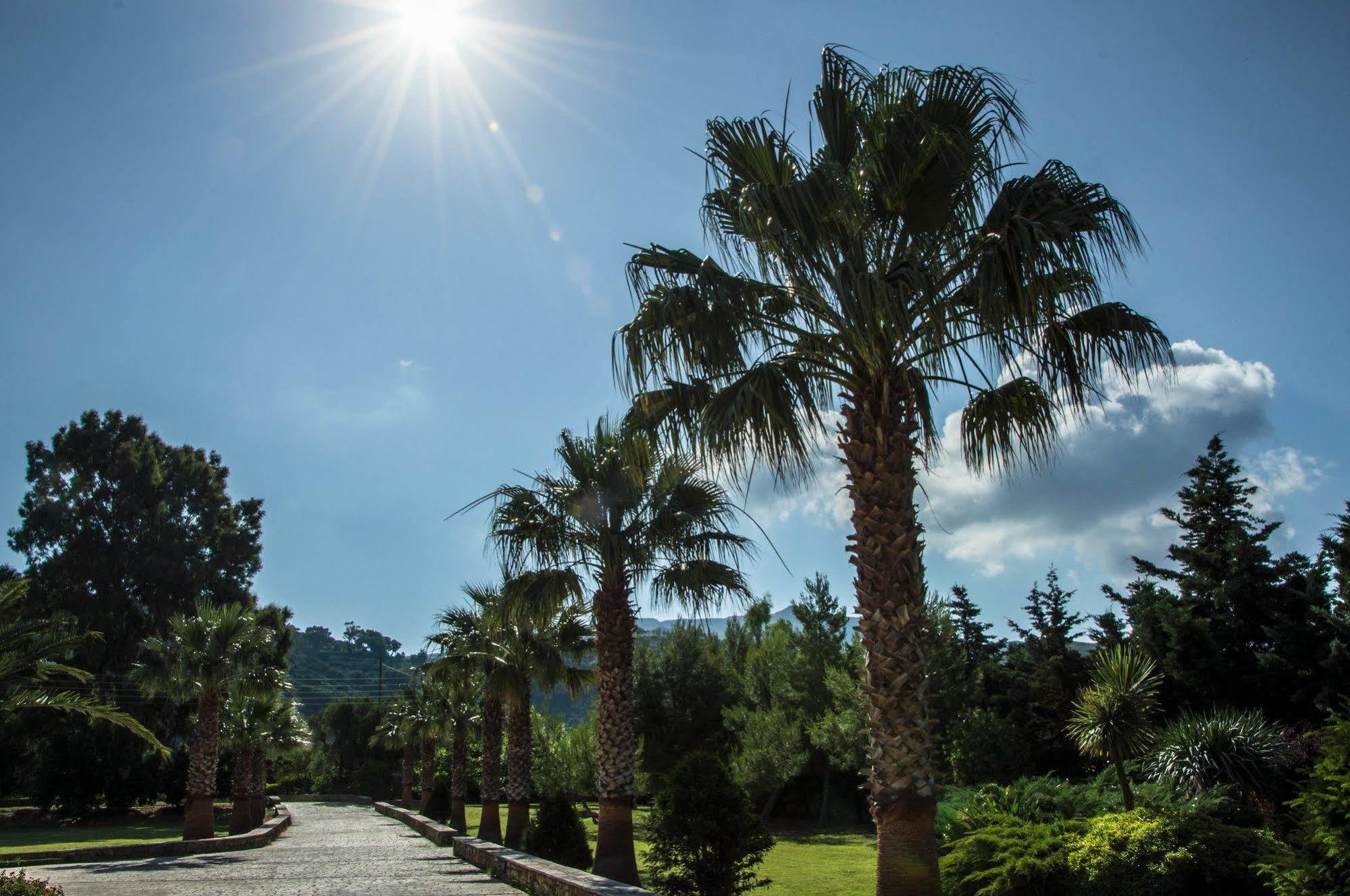 Leone Luxury Villas Kalamákion Exterior foto