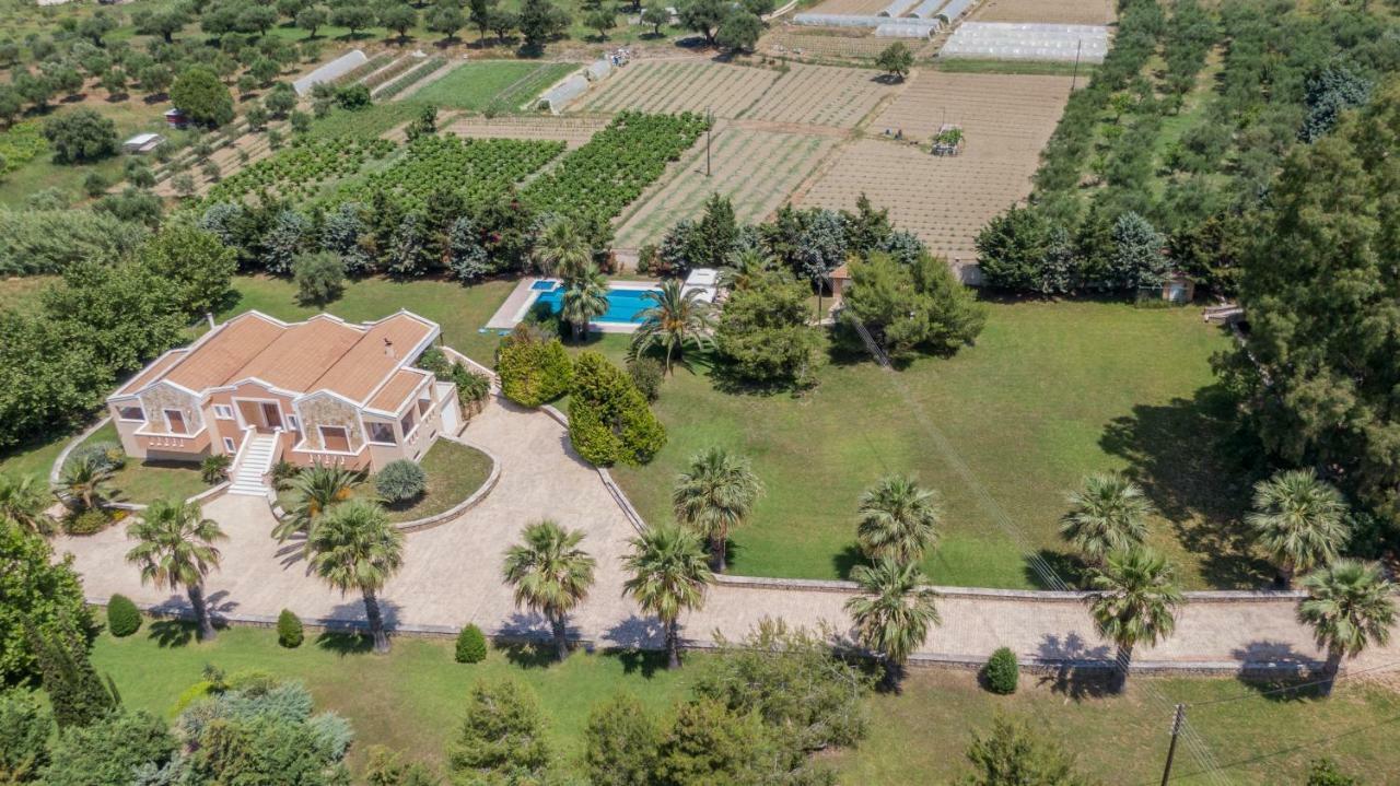 Leone Luxury Villas Kalamákion Exterior foto
